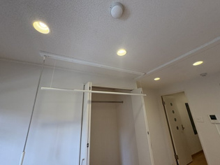 ハイネス門戸のその他