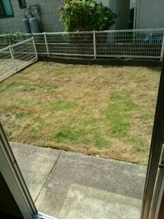 メゾン打越Ⅰの庭|お庭で自由な時間を過ごせます