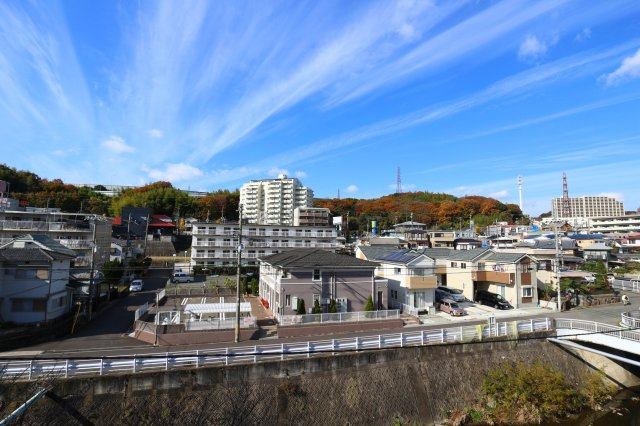 ドリーム寺池の展望