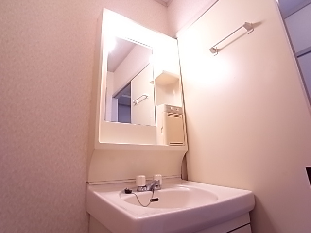 ドリーム寺池の洗面所