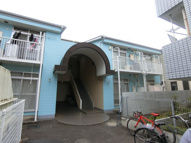 ホワイトコートカヤの画像