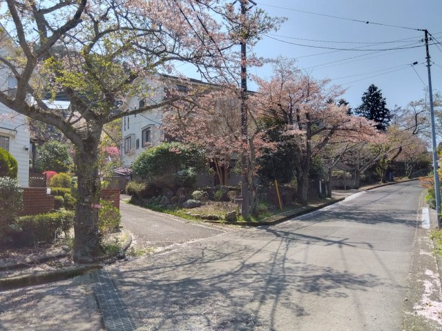 売中古戸建　田方郡函南町丹那の前面道路含む現地写真|角地なので陽当たり良好で解放感があります。約110坪に建つゆとりある一戸建てです。