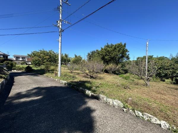 臼杵稲田　土地の前面道路含む現地写真|四季折々自然の移り変わりを感じられる静かな住宅街です。