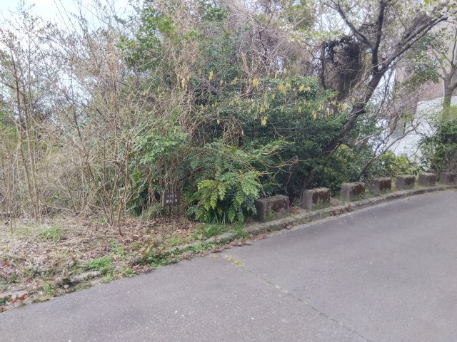 売土地　田方郡函南町平井