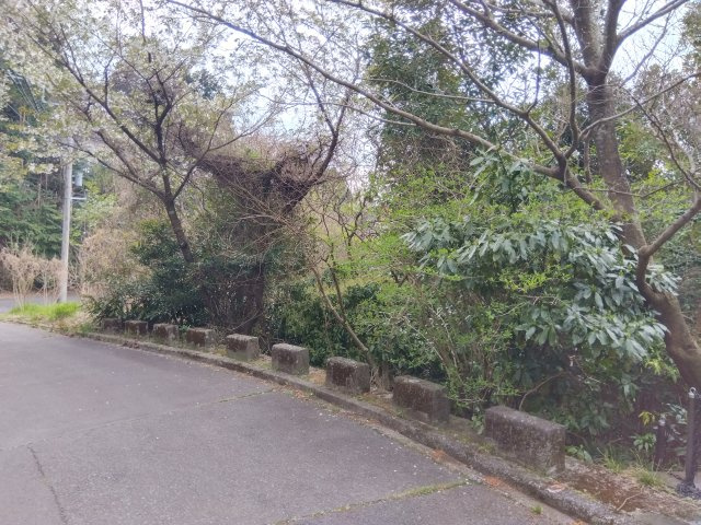 売土地　田方郡函南町平井の外観|約80坪あり広々としています。自由な間取りでお家が建てられます。駐車場を広く取る事も可能です。