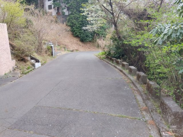売土地　田方郡函南町平井の前面道路含む現地写真|閑静な住宅地に位置しています。車通りが少なく騒音も気にならない穏やかな環境です。緑豊かな場所にあります。自然を身近に感じる事が出来ます。