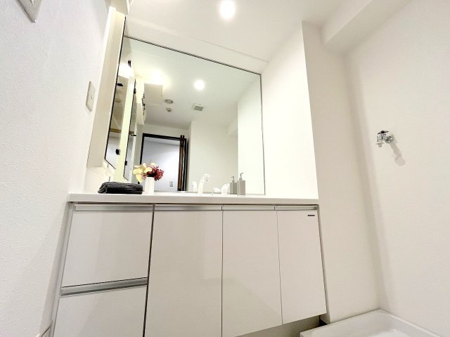 レクセルマンション中神の洗面所