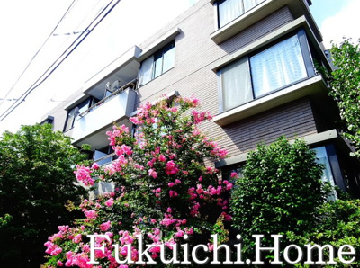 【外観】 | ガーデン松原