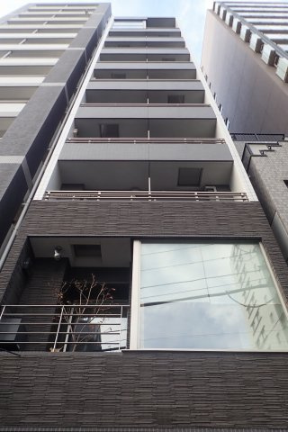 ベルグレービアの外観