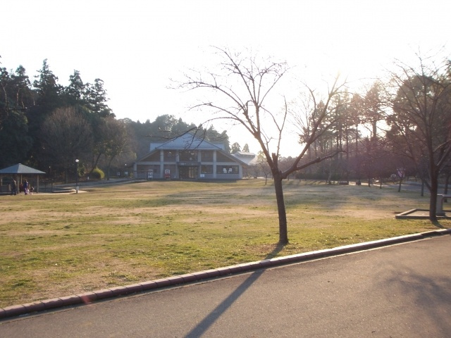 グランドール柏の周辺|あけぼの山公園