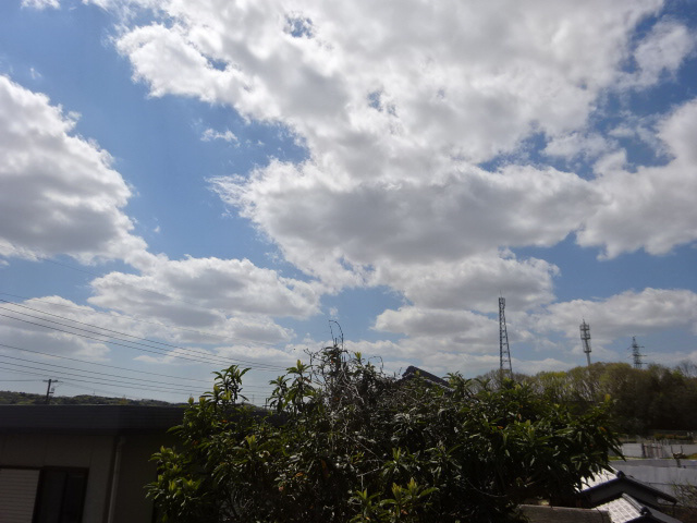 マロングレイスの展望