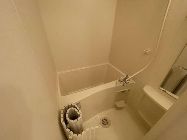 グランドパレス堀越の浴室