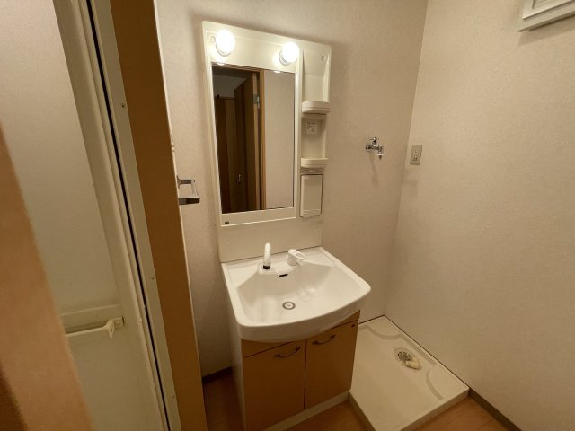 グランドパレス堀越の洗面所