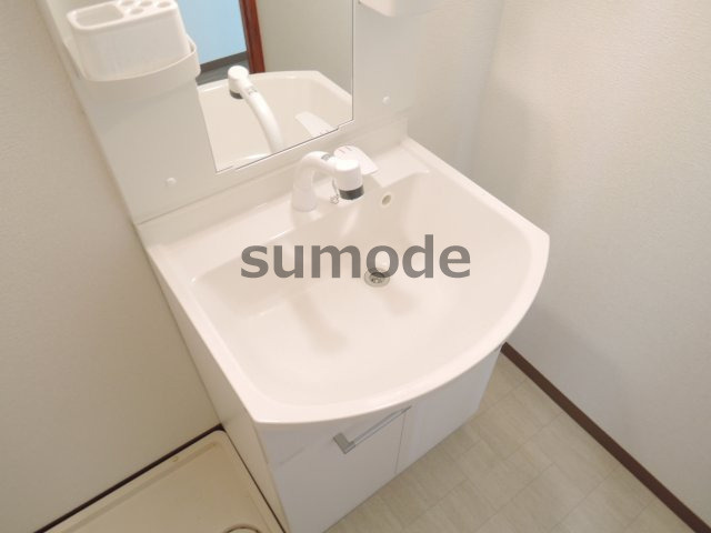 グリーンハイツの洗面所