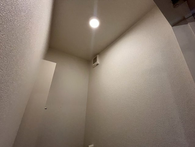 ミニカトレアⅠのその他