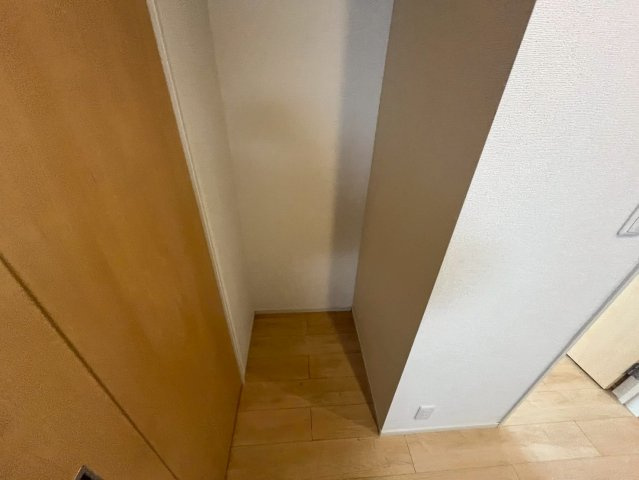 ミニカトレアⅠのその他