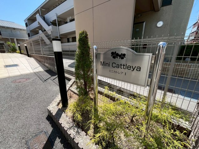 ミニカトレアⅠの庭