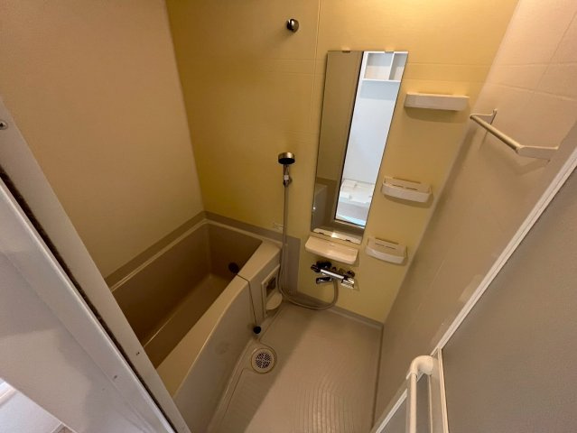 ミニカトレアⅠの浴室