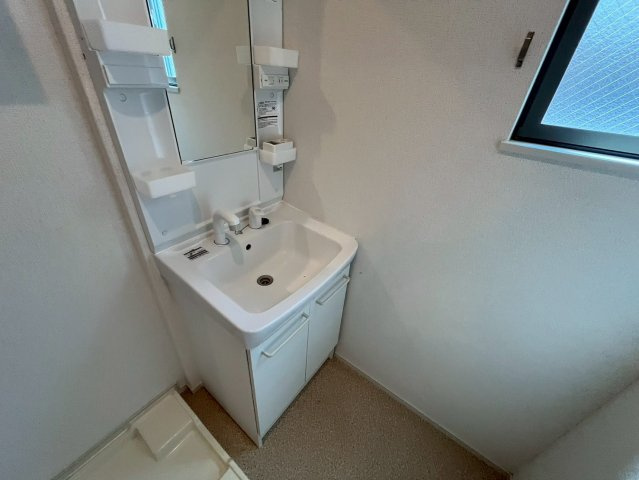 ミニカトレアⅠの洗面所