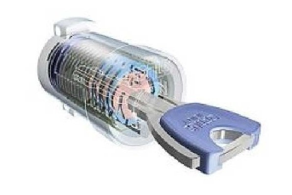 グレースのその他