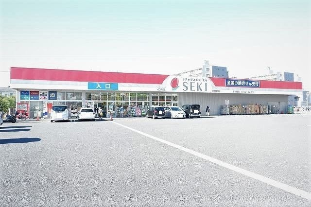 グレースの周辺|セキ薬局向陽町店まで1000m