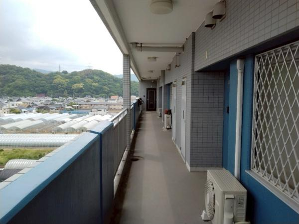 アズゥールのその他