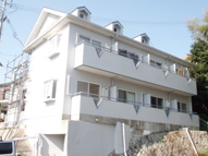 パレス大蔵谷の画像