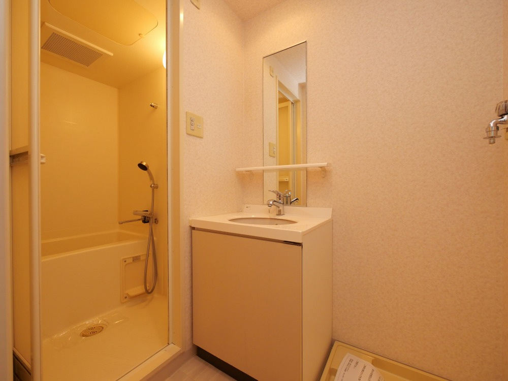 ウィルテラスなんば南の洗面所