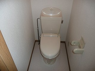 ピースフル２０００　Ⅱのその他