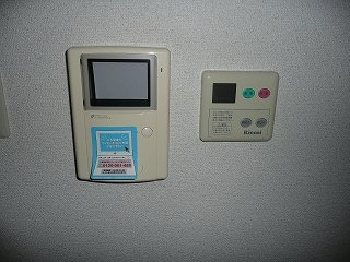 ピースフル２０００　Ⅱのその他
