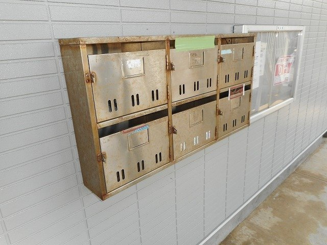 カーサ・ハル美のその他