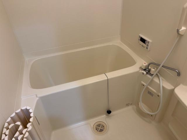 ルミナス・ビアンの浴室|バス