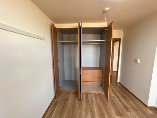 ルミナス・ビアンの収納|南側洋室クローゼット