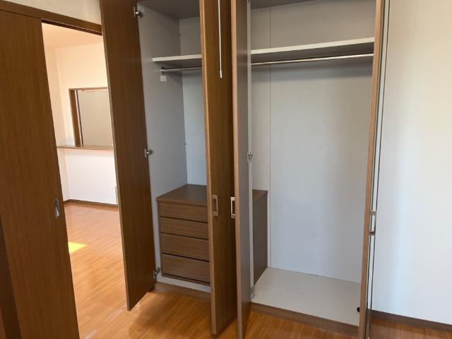 ＳＫＹ　ＬＡＲＫの収納|南側洋室クローゼット