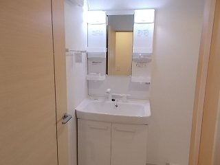 ミッド　ヴィラⅡの洗面所|スペースが確保できる洗面所です