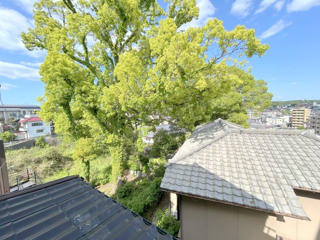 俵口町戸建てのその他