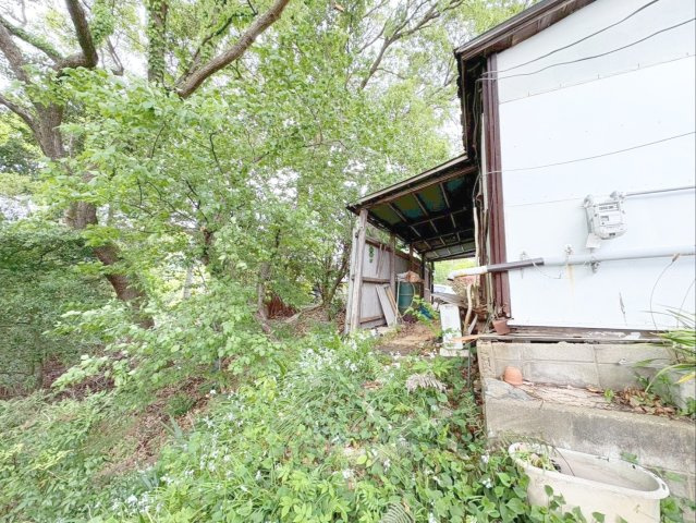 糟屋郡須恵町大字須恵　土地のその他|自然豊かな環境です！