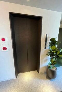 ｇｒａｎ＋ＫＡＮＤＡ