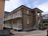 エクセルスミの画像