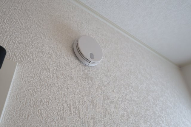 【その他】 | 《仲介手数料無料》練馬区大泉町２丁目29-26(5号棟)新築一戸建てクレイドルガーデン | 撮影日 2025年9月13日 14:30 晴れ