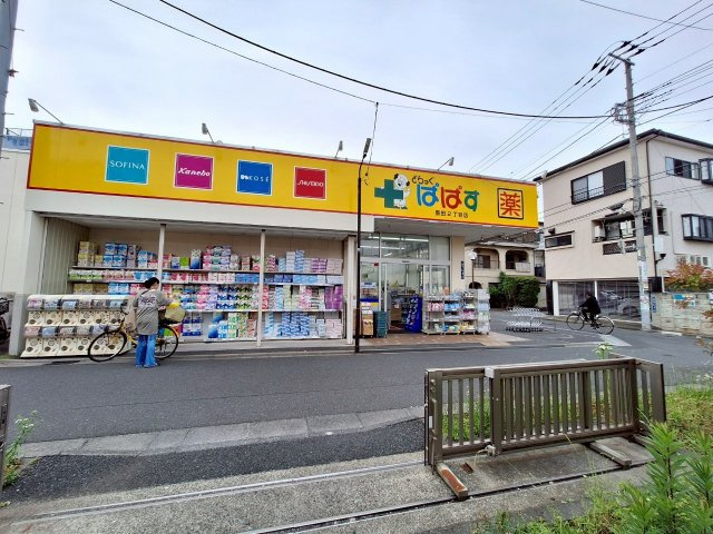 グリーンハイツの周辺|★ドラッグストア★