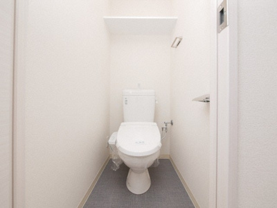 【トイレ】 | ララプレイス難波メティス | 落ち着いた色調のトイレです