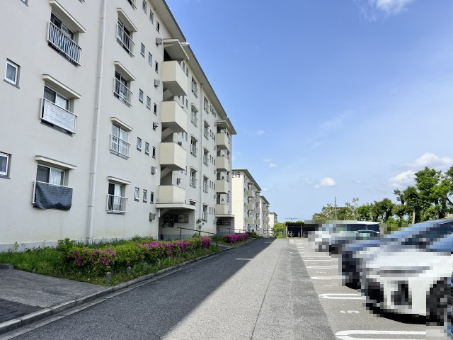 【駐車場】 | 金剛第３住宅２１３号棟