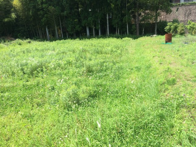 丹波市山南町大河の売地の外観