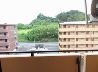 【展望】 | D-FELLOW