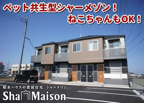 わん・ピースⅡ