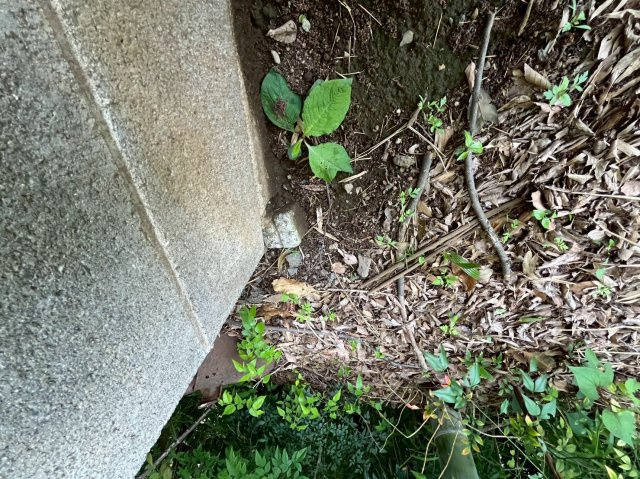 売地　みずほ台駅のその他