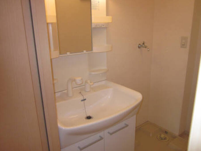 フレスカの洗面所