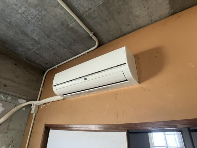 L19のその他