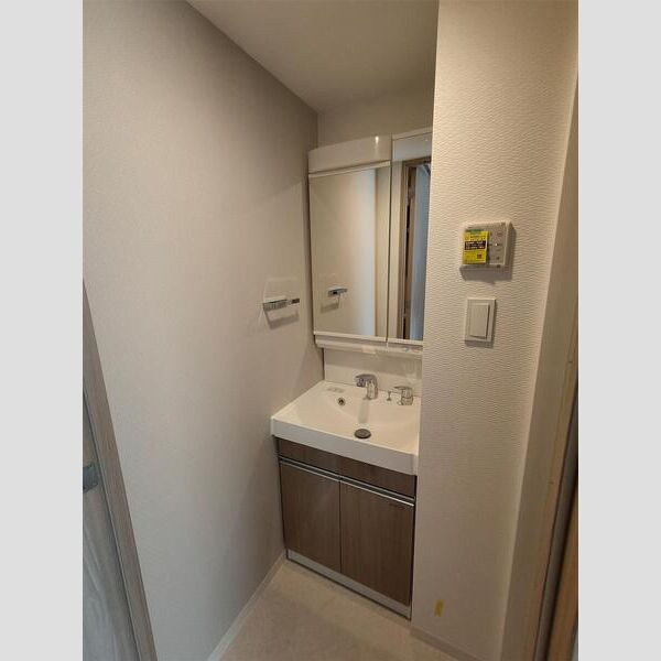 S-RESIDENCE高井田beletaの洗面所